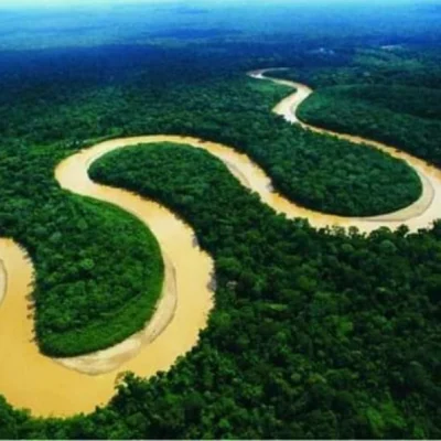 Amazonas-_53_