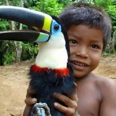 Tour Amazonas Selvas Yahuarcaca