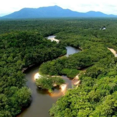 Tours en el Amazonas