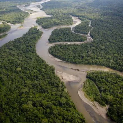 Amazonas-_74_