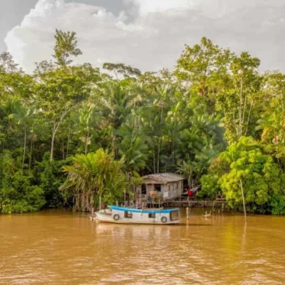 Amazonas-_75_