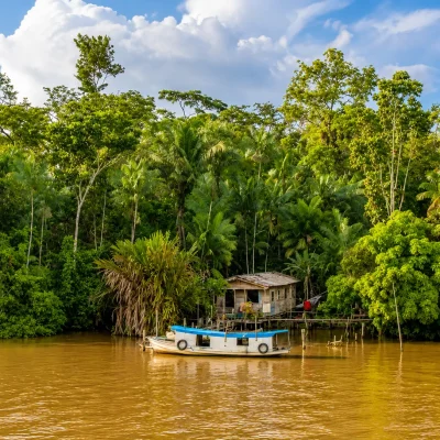 Amazonas-_75_-2