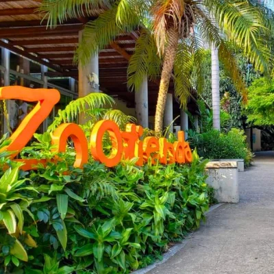 CityTour-y-Zoológico-de-Cali-_3_