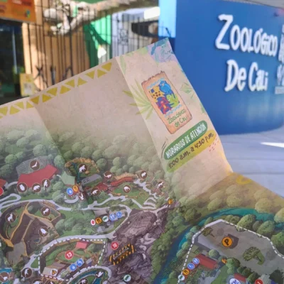 CityTour-y-Zoológico-de-Cali