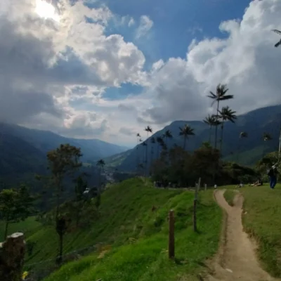 Cocora2