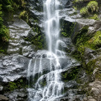 Ecoparque del Río Pance