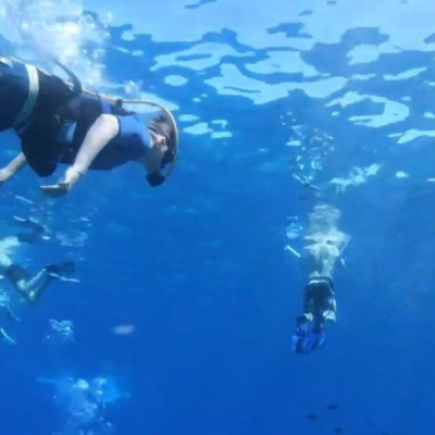 Mini Curso de Buceo (3)