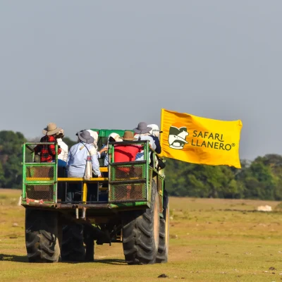 Tour Safari Con Encantos