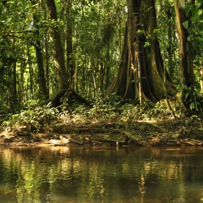 Salidas Puntuales La magia del Putumayo