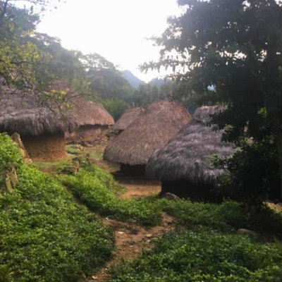 Tour A La Ciudad Perdida (2)