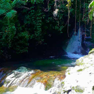 Tour A La Ciudad Perdida (3)