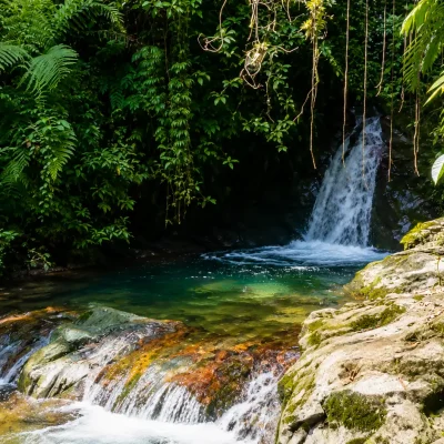 Tour-A-La-Ciudad-Perdida-3