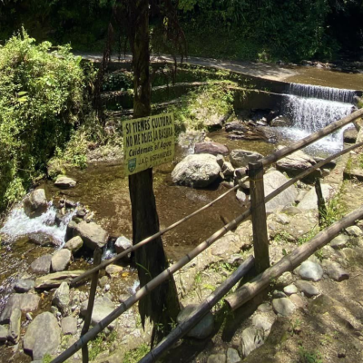 Tour A La Ciudad Perdida (5)