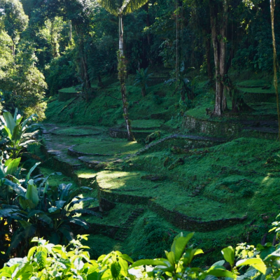 Tour A La Ciudad Perdida