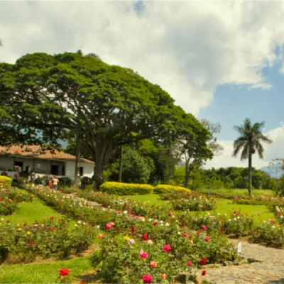 Tour-A-Las-Haciendas-Azucareras-del-valle-_5_