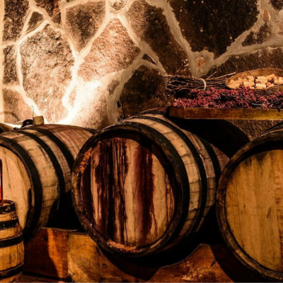 Tour A los Viñedos Boyacenses (6)