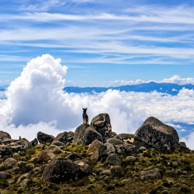 Tour-Al-Paramo-de-Santurban-3