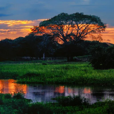 Tour-Amanecer-Llanero-_3_