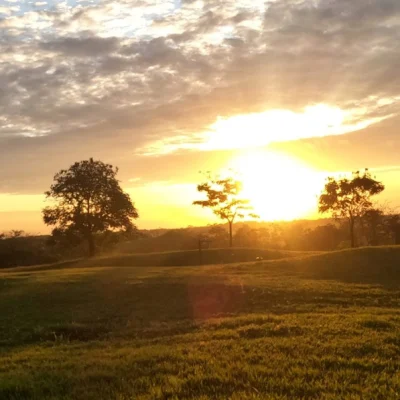 Tour-Amanecer-Llanero-_6_