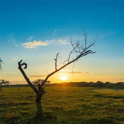 Tour-Amanecer-Llanero