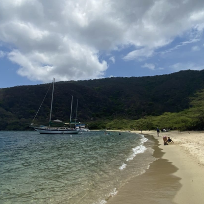 Tour Bahia Concha (3)