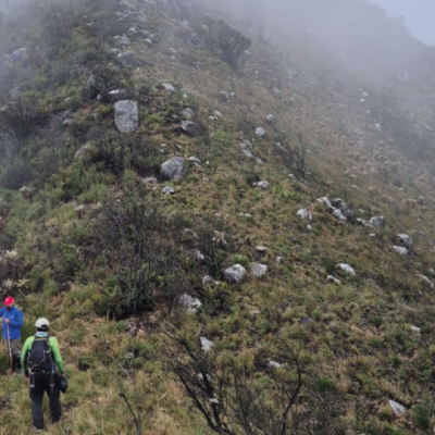 Tour Caminata por el Valle de los Frailejones (6)