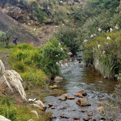 Tour Cascadas de Cumbal (4)