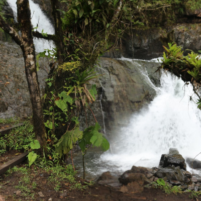 Tour Cascadas de Cumbal (6)
