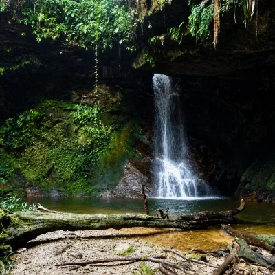 Tour-Conexion-Con-La-Selva-3-Dias-y-2-Noches-1