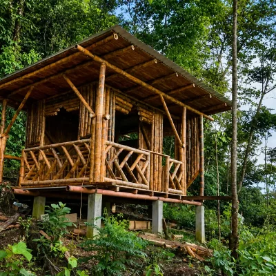 Tour-Conexion-Con-La-Selva-3-Dias-y-2-Noches-2