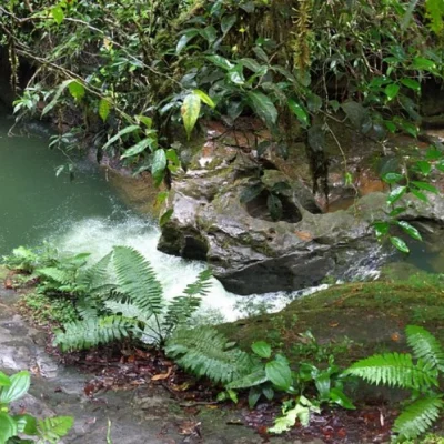 Tour-Conexión-Con-La-Selva-3-Días-y-2-Noches-_3_