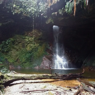 Tour-Conexión-Con-La-Selva-3-Días-y-2-Noches-_6_