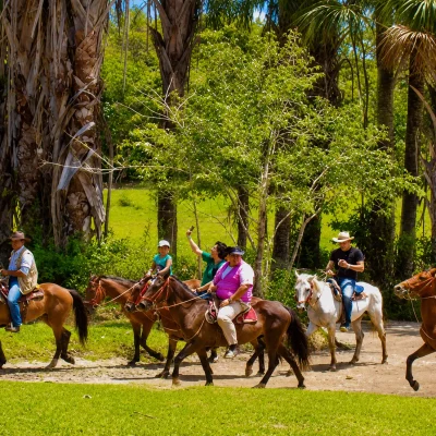 Tour-Cultura-Llaneraa