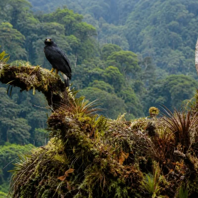 Tour Ecoturístico Reserva Páramo de Miraflores (1)