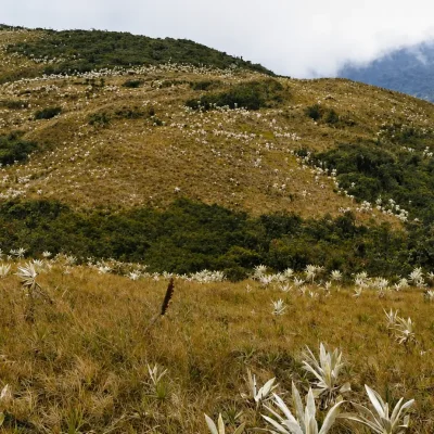 Tour Ecoturístico Reserva Páramo de Mirafloress