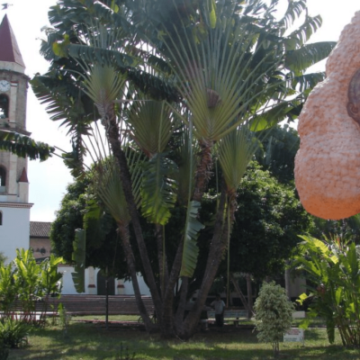 Tour Embrujo de La Jagua (4)