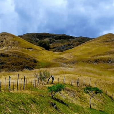 Tour Embrujo de La Jagua (5)