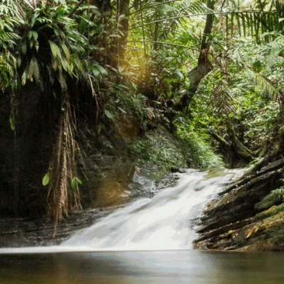 Tour-Esteros-y-Manglares-de-Ladrilleros-_5_