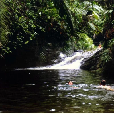 Tour-Esteros-y-Manglares-de-Ladrilleros