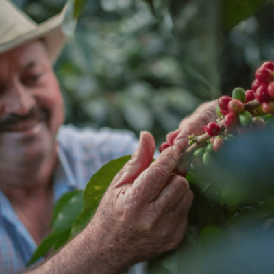 Tour Experiencia Cafetera (3)