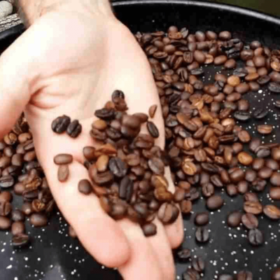 Tour Experiencia Cafetera (5)