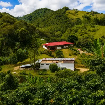 Tour Experiencia Cafetera Cali