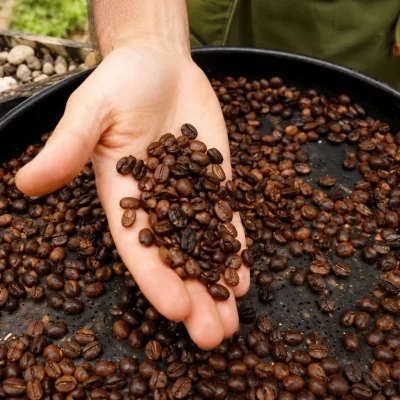 Tour-Experiencia-Cafetera