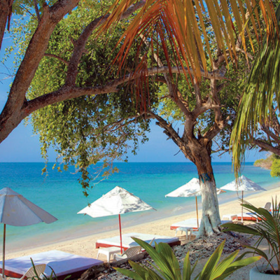 Tour Isla del Encanto