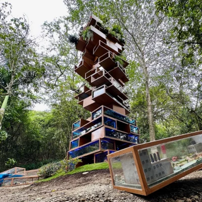 Tour-Jardín-Botanico-Cali-_3_