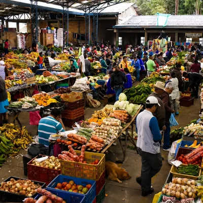 Tour-Mercado-Indigena-en-Silva-2