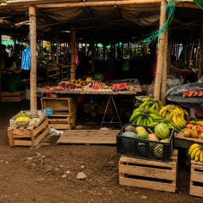 Tour Mercado de Sandona (1)