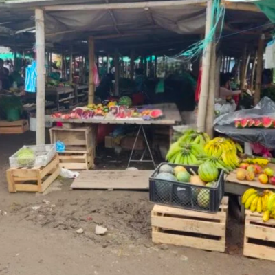 Tour Mercado de Sandona (3)