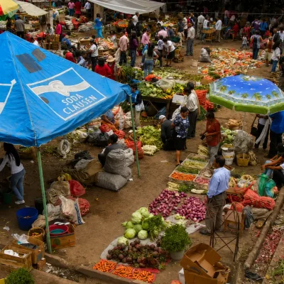 Tour Mercado de Sandona (3)