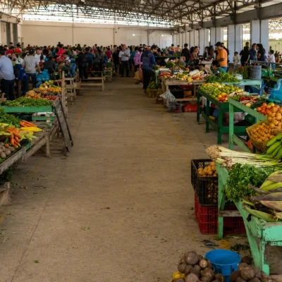 Tour Mercado de Sandona